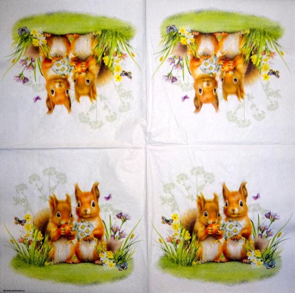 020 Eichhörnchen - 3-ply - Ambiente